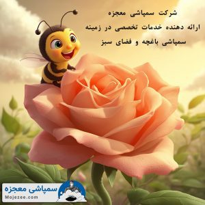 سمپاشی باغچه 3