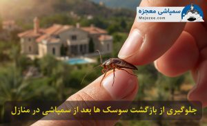 جلوگیری از بازگشت سوسک ها بعد از سمپاشی