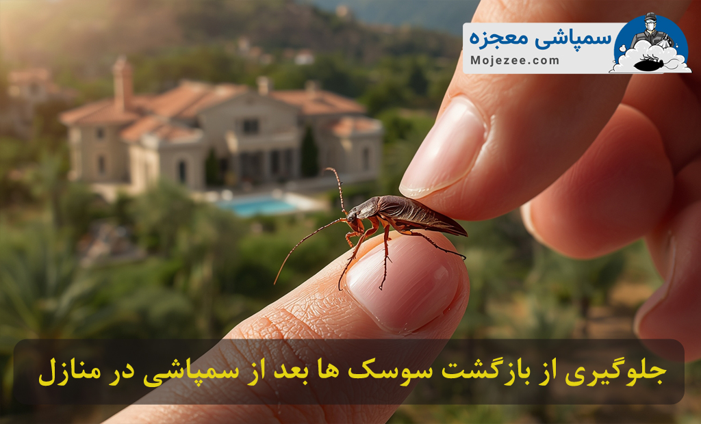 جلوگیری از بازگشت سوسک ها بعد از سمپاشی