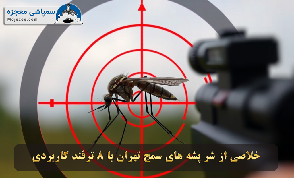 سمپاشی پشه